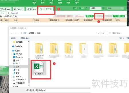 FTP工具在批量導入導出服務器應用軟件服務中的應用與操作指南